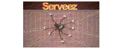 serveez 的标志